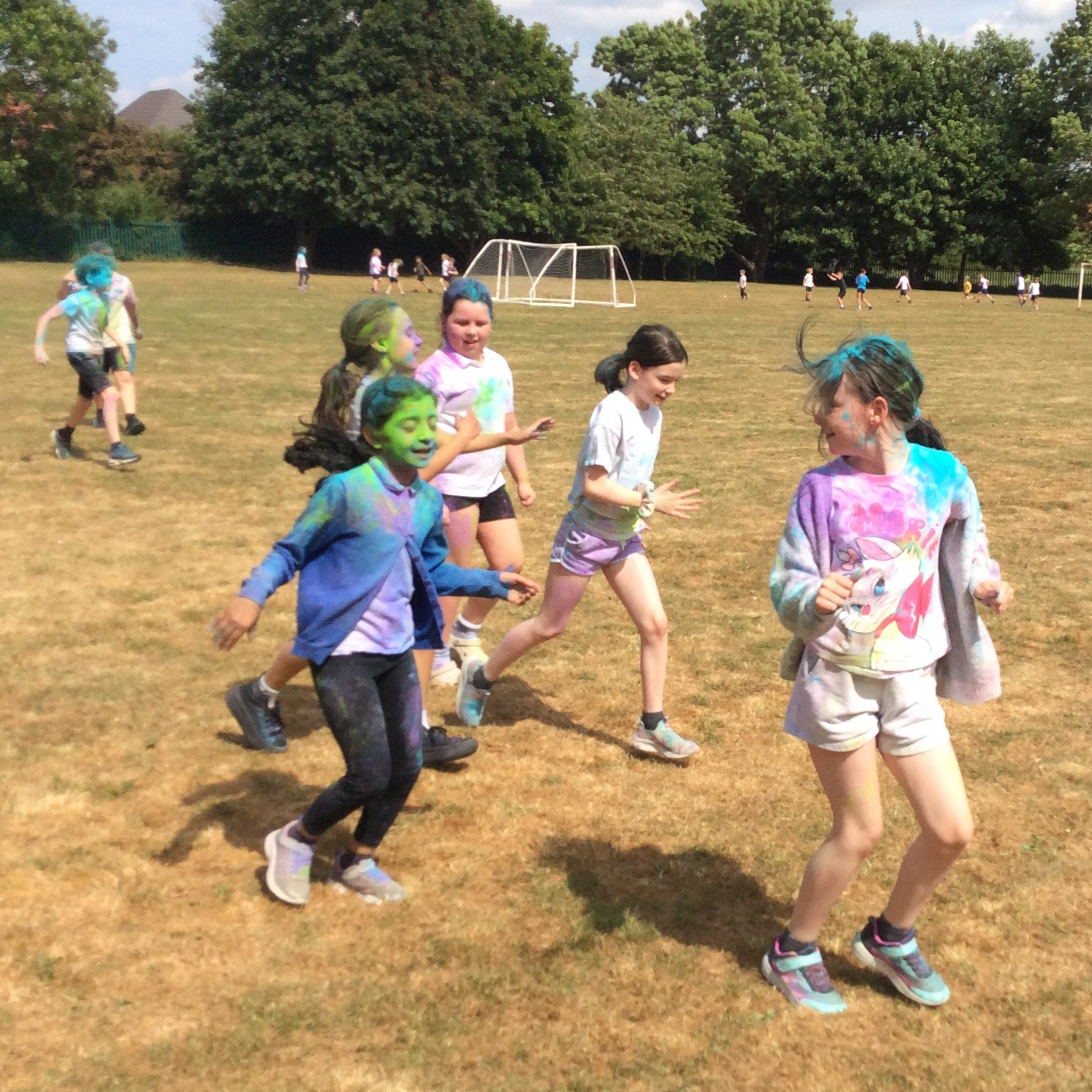 Thythorn colour dash