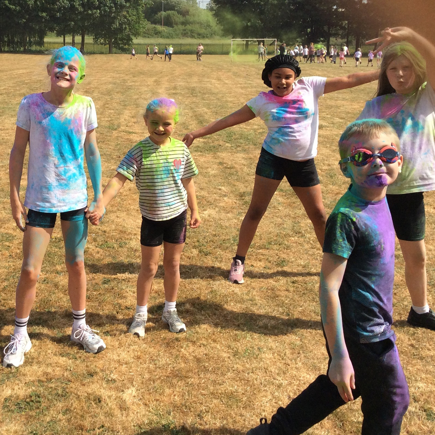 Thythorn colour dash